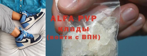 прущие грибы Абинск