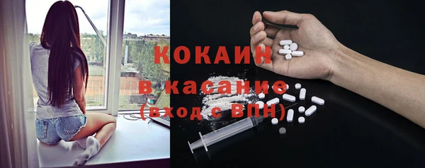 дживик Абаза