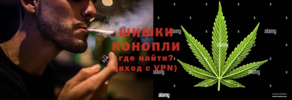 дживик Абаза