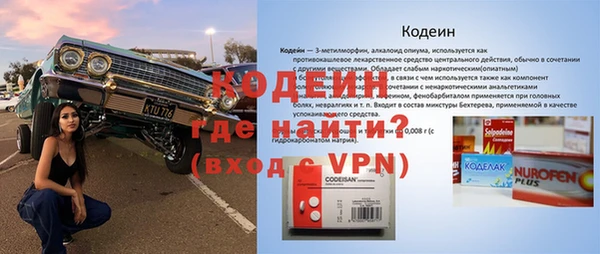 дживик Абаза