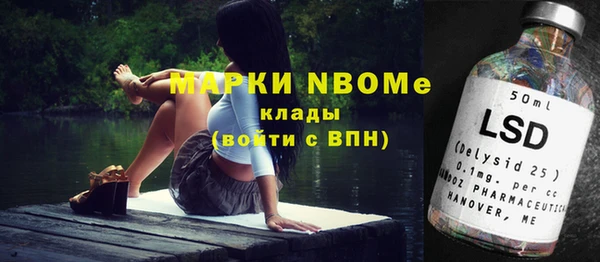 прущие грибы Абинск