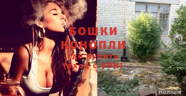 прущие грибы Абинск