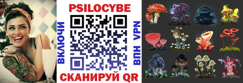 omg ТОР  Барыш  Галлюциногенные грибы Cubensis 